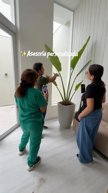 Equipo de Espacio Natural asesorando la ubicación de una planta en un ambiente