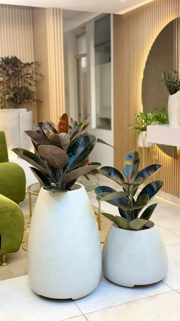 Composición de plantas y macetas en tonos naturales