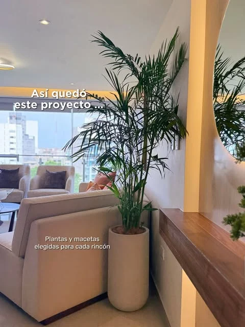 Planta alta junto a un sofá en un proyecto de Espacio Natural